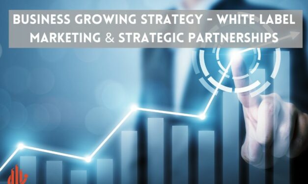 Business Growing Strategy – White Label Marketing & Strategic Partnerships