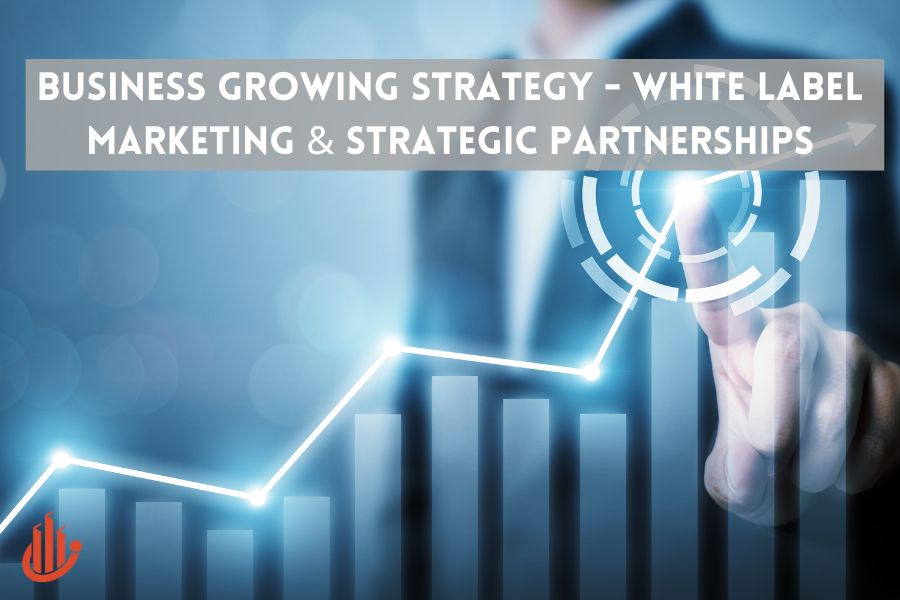 Business Growing Strategy – White Label Marketing & Strategic Partnerships